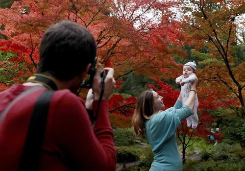 Một con sóc tìm thức ăn trên thảm lá vàng tại công viên Tsaritsino, Moskva, Nga. Ảnh: Maxim Shipenkov. Người phụ nữ và đứa bé chơi với lá vàng tại một công viên ở thành phố cảng St. Petersburg, Nga. Ảnh: AP. Một du khách trekking lên dãy núi Zillertal Alps tại làng Ginzling, Áo. Đỉnh Hochfeiler của dãy núi này có độ cao 3.510 m, vào mùa đông sẽ trở thành điểm đến trượt tuyết của nhiều khách du lịch. Ảnh: Reuters. Khung cảnh tại làng Gorodechno, nơi cách thủ đô Minsk của Belarus khoảng 150 km về phía tây. Ảnh: AP. Rừng thu lá vàng rực vào một ngày nắng ấm tại thủ đô Vilnius, Litva, một quốc gia ở châu Âu. Ảnh: AP Người phụ nữ dắt chó dạo chơi trong công viên ở Vilnius. Ảnh: AP. Anh Fischer Lees ghi lại khoảnh khắc cho chị Catherine Beni và con trai Maximus 3 tháng tuổi trong khu vườn Nhật Bản ngập tràn sắc lá đỏ thuộc thành phố Seattle, Washington, Mỹ. Theo các nhà khoa học, màu đỏ của lá được tạo ra bởi một loại sắc tố có tên là Anthocyanin. Ảnh: Seattle Times. Một con sóc tìm thức ăn trên thảm lá vàng tại công viên Tsaritsino, Moskva, Nga. Ảnh: Maxim Shipenkov. Người phụ nữ và đứa bé chơi với lá vàng tại một công viên ở thành phố cảng St. Petersburg, Nga. Ảnh: AP. Một du khách trekking lên dãy núi Zillertal Alps tại làng Ginzling, Áo. Đỉnh Hochfeiler của dãy núi này có độ cao 3.510 m, vào mùa đông sẽ trở thành điểm đến trượt tuyết của nhiều khách du lịch. Ảnh: Reuters. Khung cảnh tại làng Gorodechno, nơi cách thủ đô Minsk của Belarus khoảng 150 km về phía tây. Ảnh: AP. Rừng thu lá vàng rực vào một ngày nắng ấm tại thủ đô Vilnius, Litva, một quốc gia ở châu Âu. Ảnh: AP Người phụ nữ dắt chó dạo chơi trong công viên ở Vilnius. Ảnh: AP. Anh Fischer Lees ghi lại khoảnh khắc cho chị Catherine Beni và con trai Maximus 3 tháng tuổi trong khu vườn Nhật Bản ngập tràn sắc lá đỏ thuộc thành phố Seattle, Washington, Mỹ. Theo các nhà khoa học, màu đỏ của lá được tạo ra bởi một loại sắc tố có tên là Anthocyanin. Ảnh: Seattle Times.