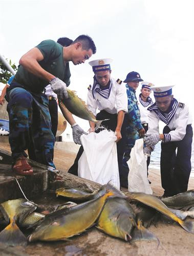Cuộc sống của chiến sĩ Trường Sa đóng quân trên các đảo chìm ảnh 5 Cuộc sống của chiến sĩ Trường Sa đóng quân trên các đảo chìm ảnh 5