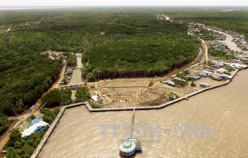 Toàn cảnh Khu Công viên văn hóa – Du lịch Mũi Cà Mau. Ảnh: An Hiếu – TTXVN