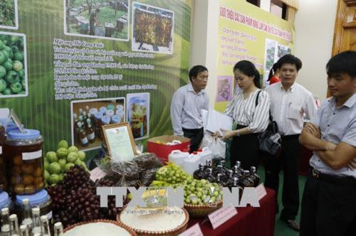 Các gian hàng trưng bày, giới thiệu sản phẩm nông nghiệp tiêu biểu của tỉnh Yên Bái. Ảnh: Việt Dũng - TTXVN Các gian hàng trưng bày, giới thiệu sản phẩm nông nghiệp tiêu biểu của tỉnh Yên Bái. Ảnh: Việt Dũng - TTXVN