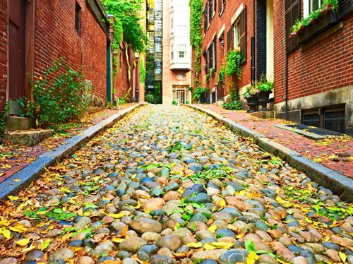 Mùa thu Boston chìm trong nắng vàng dịu ngọt của một thành phố còn mang lối kiến trúc cổ kính. Mùa thu Boston chìm trong nắng vàng dịu ngọt của một thành phố còn mang lối kiến trúc cổ kính.