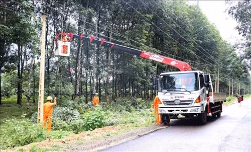 Công nhân Công ty Điện lực Gia Lai phát quang hành lang tuyến. Ảnh: Dư Toán – TTXVN