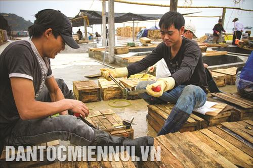 Đóng gói hải sản sau khi chế biến tại huyện đảo Cô Tô Đóng gói hải sản sau khi chế biến tại huyện đảo Cô Tô