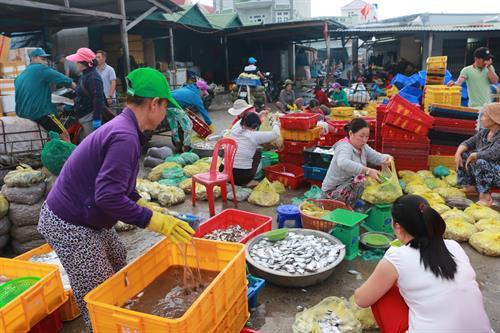 Buôn bán hải sản tấp nập ở đảo Ba Bình. Ảnh: Dương Chí Tưởng-TTXVN Buôn bán hải sản tấp nập ở đảo Ba Bình. Ảnh: Dương Chí Tưởng-TTXVN