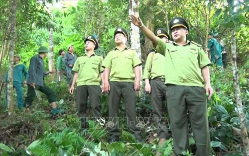 Lực lượng Kiểm lâm huyện Quỳnh Nhai (Sơn La) tuần tra, kiểm soát các diện tích rừng trên địa bàn. Ảnh: TTXVN phát Lực lượng Kiểm lâm huyện Quỳnh Nhai (Sơn La) tuần tra, kiểm soát các diện tích rừng trên địa bàn. Ảnh: TTXVN phát