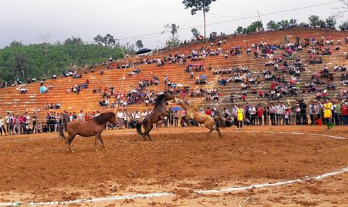 Trận đua ngựa diễn ra đầy kịch tính. Ảnh: Văn Tý - TTXVN Trận đua ngựa diễn ra đầy kịch tính. Ảnh: Văn Tý - TTXVN