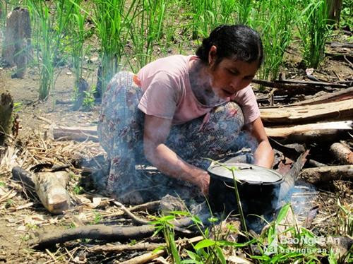 Cuộc sống ở rẫy của người vùng cao xứ Nghệ. Ảnh: Hữu Vi Cuộc sống ở rẫy của người vùng cao xứ Nghệ. Ảnh: Hữu Vi