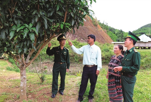 Hướng dẫn đồng bào cách chăm sóc cây ăn quả