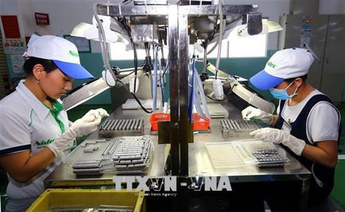 Lao động làm việc tại một doanh nghiệp Thành phố Hồ Chí Minh. Ảnh: Danh Lam - TTXVN Lao động làm việc tại một doanh nghiệp Thành phố Hồ Chí Minh. Ảnh: Danh Lam - TTXVN