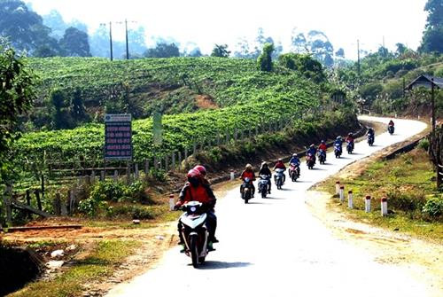 Thuộc địa phận 3 xã Nậm Giải, Châu Kim và Châu Thôn, huyện Quế Phong (Nghệ An) dốc Bù Chồng Cha mang vẻ đẹp bí ẩn riêng có. Những ngày này, Bù Chồng Cha đón rất nhiều phượt thủ lên đây vui Tết Độc lập cùng dân bản. Ảnh: Thò Cường Người dân làm cầu thang dẫn khách lên bãi bằng trên đỉnh Bù Chồng Cha thưởng thức những món đặc sản và các hoạt động vui Tết Độc lập. Ảnh: Thò Cường Mua gà về ăn Tết. Ảnh: Thò Cường Mổ lợn đón khách đến bản vui Tết. Ảnh: Thò Cường Chế biến món chẻo từ cá nướng, muối, hành, ớt, mặc khẻn... để chấm măng nứa - món ngon không thể thiếu trong mâm cỗ đón Tết Độc lập. Ảnh: Thò Cường Uống rượu cần, múa lăm vông bên lửa trại bập bùng. Ảnh: Thò Cường Lên Bù Chồng Cha đón Tết Độc lập, du khách sẽ có ấn tượng khó quên với cảnh sắc, khí hậu và tình người nồng hậu nơi đây. Ảnh: Thò Cường Thuộc địa phận 3 xã Nậm Giải, Châu Kim và Châu Thôn, huyện Quế Phong (Nghệ An) dốc Bù Chồng Cha mang vẻ đẹp bí ẩn riêng có. Những ngày này, Bù Chồng Cha đón rất nhiều phượt thủ lên đây vui Tết Độc lập cùng dân bản. Ảnh: Thò Cường Người dân làm cầu thang dẫn khách lên bãi bằng trên đỉnh Bù Chồng Cha thưởng thức những món đặc sản và các hoạt động vui Tết Độc lập. Ảnh: Thò Cường Mua gà về ăn Tết. Ảnh: Thò Cường Mổ lợn đón khách đến bản vui Tết. Ảnh: Thò Cường Chế biến món chẻo từ cá nướng, muối, hành, ớt, mặc khẻn... để chấm măng nứa - món ngon không thể thiếu trong mâm cỗ đón Tết Độc lập. Ảnh: Thò Cường Uống rượu cần, múa lăm vông bên lửa trại bập bùng. Ảnh: Thò Cường Lên Bù Chồng Cha đón Tết Độc lập, du khách sẽ có ấn tượng khó quên với cảnh sắc, khí hậu và tình người nồng hậu nơi đây. Ảnh: Thò Cường