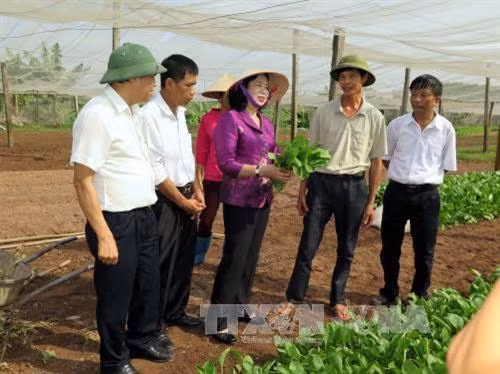 Phó Bí thư thường trực Thành ủy Hà Nội Ngô Thị Thanh Hằng kiểm tra việc xây dựng nông thôn mới tại huyện Hoài Đức.