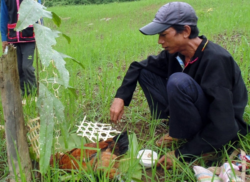 Thầy mo thực hiện lễ cúng. Đồ cúng của người Si La gồm có gà và chó. Người dân chuẩn bị bàn thờ để thực hiện lễ cúng các thần linh. Người già đại diện cho cả bản cắm cây "Ta Leo" ở các con đường vào nương, rẫy... để cấm người dân lên nương trong khi đang làm lễ cúng.