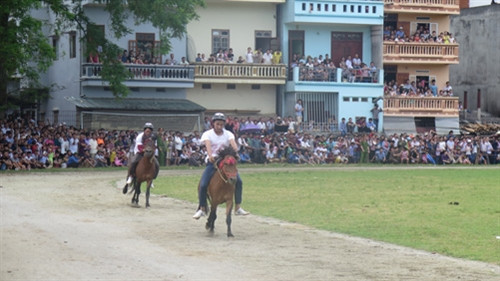 Đua ngựa thồ trên cao nguyên trắng ảnh 4