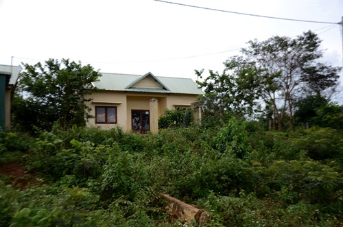 Nhiều căn nhà khang trang bị bỏ hoang
