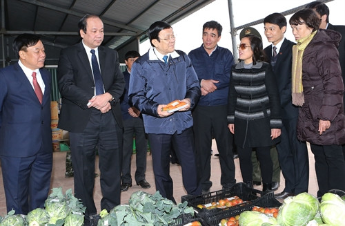 Chủ tịch nước Trương Tấn Sang thăm mô hình trồng rau sạch của Nhật Bản ở khu nông nghiệp chất lượng cao xã Nhân Khang, huyện Lý Nhân. Ảnh: Nguyễn Khang – TTXVN