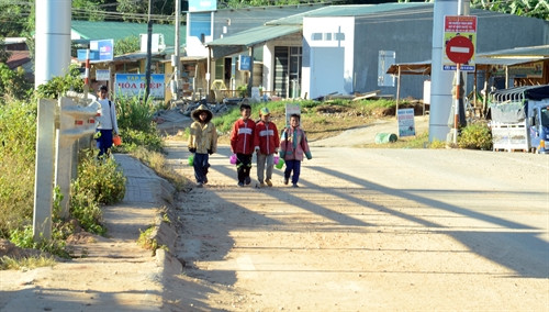 Cặp lồng cơm như những người bạn thân theo bước các em đến trường. Cặp lồng cơm như những người bạn thân theo bước các em đến trường.