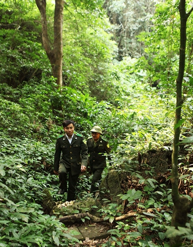 Lực lượng kiểm lâm Vườn quốc gia Cát Bà tuần tra bảo vệ rừng. Ảnh: lâm Khánh- TTXVN Lực lượng kiểm lâm Vườn quốc gia Cát Bà tuần tra bảo vệ rừng. Ảnh: lâm Khánh- TTXVN