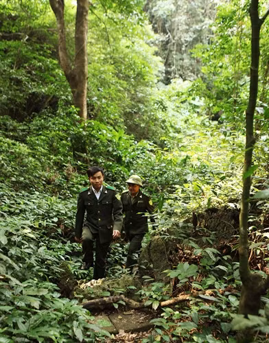 Lực lượng kiểm lâm Vườn quốc gia Cát Bà tuần tra bảo vệ rừng. Ảnh: lâm Khánh- TTXVN