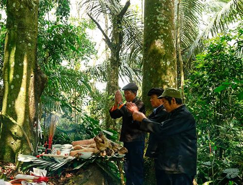Người dân đi dự lễ cúng rừng từ rất sớm. Công tác chuẩn bị đồ cúng do đàn ông thực hiện. Các thầy cúng khấn xin thần linh phù hộ những điều tốt đẹp. Tiếp đó, mọi người trong thôn cùng thắp hương cầu mong một năm mưa thuận gió hòa, sức khỏe, gia đình hạnh phúc. Đây cũng là dịp để mọi người quây quần nói chuyện về tình làng, nghĩa xóm. Sau lễ cúng rừng, các trò chơi dân gian được tổ chức. Phụ nữ hào hứng chơi trò đánh cầu lông truyền thống. Chơi quay một trong những trò chơi dân gian không thể thiếu trong những ngày lễ của phụ nữ Pa Dí. Người dân đi dự lễ cúng rừng từ rất sớm. Công tác chuẩn bị đồ cúng do đàn ông thực hiện. Các thầy cúng khấn xin thần linh phù hộ những điều tốt đẹp. Tiếp đó, mọi người trong thôn cùng thắp hương cầu mong một năm mưa thuận gió hòa, sức khỏe, gia đình hạnh phúc. Đây cũng là dịp để mọi người quây quần nói chuyện về tình làng, nghĩa xóm. Sau lễ cúng rừng, các trò chơi dân gian được tổ chức. Phụ nữ hào hứng chơi trò đánh cầu lông truyền thống. Chơi quay một trong những trò chơi dân gian không thể thiếu trong những ngày lễ của phụ nữ Pa Dí.