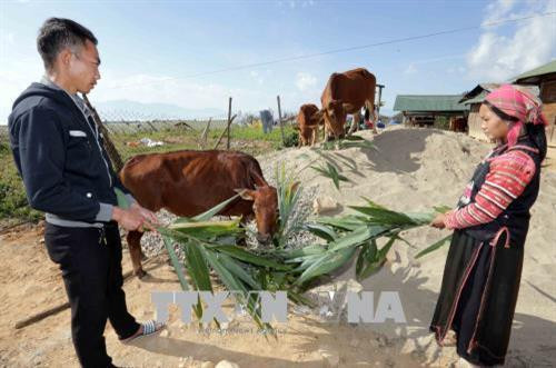Tính đến đầu năm 2018, cả nước có hơn 2 triệu lượt hộ nghèo, đối tượng chính sách khác được vay vốn để phát triển kinh tế. Ảnh: Trần Việt - TTXVN Tính đến đầu năm 2018, cả nước có hơn 2 triệu lượt hộ nghèo, đối tượng chính sách khác được vay vốn để phát triển kinh tế. Ảnh: Trần Việt - TTXVN