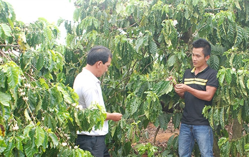 Nông dân trao đổi với cán bộ kỹ thuật Công ty Bayer về sử dụng thuốc bảo vệ thực vật