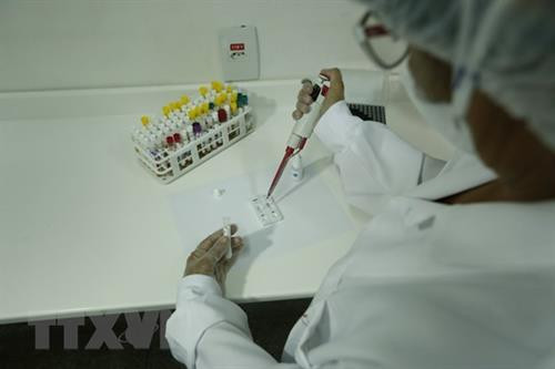 Ảnh minh họa. Ảnh: THX/TTXVN