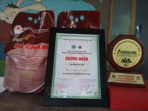 Sản phẩm gạo Ba Chăm được công nhận Thương hiệu sản phẩm nông nghiệp nổi tiếng Việt Nam. Ảnh: Hoài Nam - TTXVN