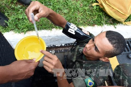 Virus Zika làm tổn thương nghiêm trọng hệ thần kinh ảnh 1