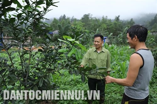 Ông Lý Văn Thiệp hướng dẫn bà con cách chăm sóc cây ăn quả. Ảnh: An Thành Đạt