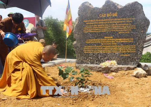 Trồng cây Bồ Đề thiêng tại chùa Tam Chúc. Ảnh: Nguyễn Thị Chinh-TTXVN Trồng cây Bồ Đề thiêng tại chùa Tam Chúc. Ảnh: Nguyễn Thị Chinh-TTXVN