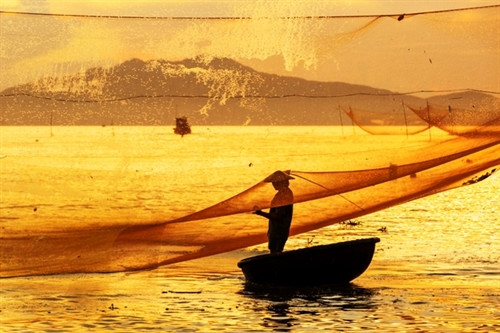 Những chiếc rớ ở Cửa Đại tạo nên một cảnh đẹp độc đáo.