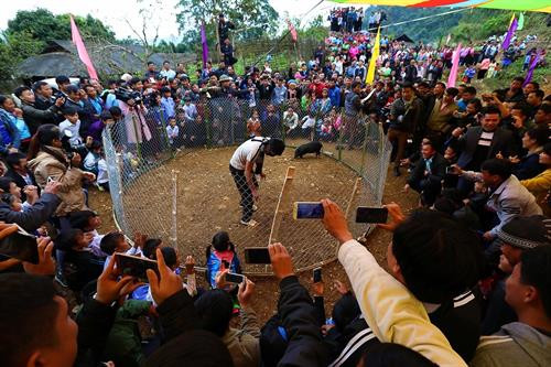 Người dân và du khách thích thú xem trò chơi bịt mắt bắt lợn trong ngày Tết cổ truyền. Ảnh: Phan Tuấn Anh- TTXVN Người dân và du khách thích thú xem trò chơi bịt mắt bắt lợn trong ngày Tết cổ truyền. Ảnh: Phan Tuấn Anh- TTXVN