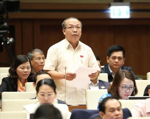 Đại biểu Quốc hội tỉnh Gia Lai Đinh Duy Vượt phát biểu. Ảnh: Văn điệp - TTXVN Đại biểu Quốc hội tỉnh Gia Lai Đinh Duy Vượt phát biểu. Ảnh: Văn điệp - TTXVN