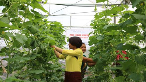 Mô hình trồng dưa lưới ứng dụng công nghệ cao ở phường Đa Mai (thành phố Bắc Giang). Ảnh: baobacgiang.com.vn Mô hình trồng dưa lưới ứng dụng công nghệ cao ở phường Đa Mai (thành phố Bắc Giang). Ảnh: baobacgiang.com.vn