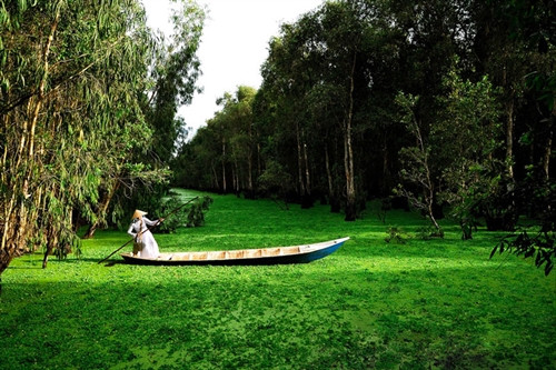 Chùm ảnh ấn tượng về đồng bằng sông Cửu Long ảnh 7 Chùm ảnh ấn tượng về đồng bằng sông Cửu Long ảnh 7