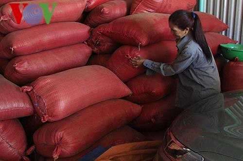 Chị Y Hếp kiểm tra kho cà phê của gia đình. Ảnh: vov4.vov.vn