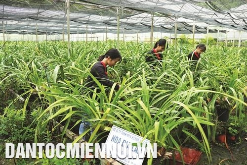 Huyện Bắc Hà năm 2019 trồng mới 36 ha hoa ứng dụng công nghệ cao, trong đó các loại hoa được trồng chủ yếu là địa lan, ly, hồng và đồng tiền. Ảnh: Hoàng Hà Những năm qua, Trại nghiên cứu và sản xuất rau quả Bắc Hà thuộc Trung tâm giống nông - lâm nghiệp tỉnh Lào Cai đã khai thác và phát huy tiềm năng phát triển cây ăn quả đặc sản, tạo sản phẩm hàng hóa, góp phần phát triển kinh tế - xã hội địa phương. Trong ảnh: Vườn ươm giống lê VH6 được nhập từ Đài Loan về nghiên cứu khảo nghiệm tại Trại nghiên cứu và sản xuất rau quả Bắc Hà. Ảnh: Hoàng Hà Huyện Bắc Hà năm 2019 trồng mới 36 ha hoa ứng dụng công nghệ cao, trong đó các loại hoa được trồng chủ yếu là địa lan, ly, hồng và đồng tiền. Ảnh: Hoàng Hà Những năm qua, Trại nghiên cứu và sản xuất rau quả Bắc Hà thuộc Trung tâm giống nông - lâm nghiệp tỉnh Lào Cai đã khai thác và phát huy tiềm năng phát triển cây ăn quả đặc sản, tạo sản phẩm hàng hóa, góp phần phát triển kinh tế - xã hội địa phương. Trong ảnh: Vườn ươm giống lê VH6 được nhập từ Đài Loan về nghiên cứu khảo nghiệm tại Trại nghiên cứu và sản xuất rau quả Bắc Hà. Ảnh: Hoàng Hà