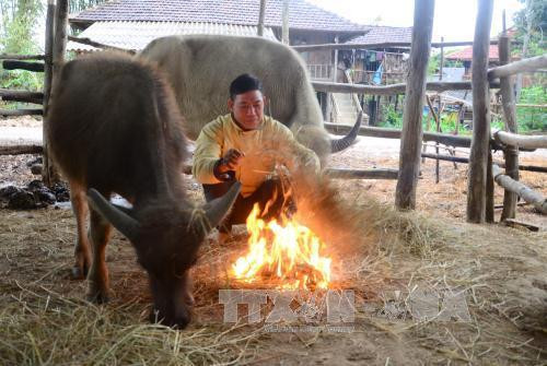 Người dân đốt lửa sưởi ấm cho gia súc. Ảnh: Xuân Tư - TTXVN Người dân đốt lửa sưởi ấm cho gia súc. Ảnh: Xuân Tư - TTXVN