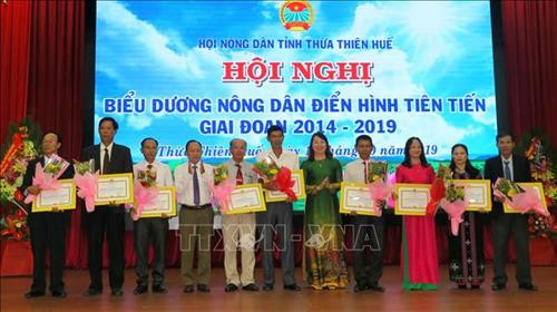 Hội Nông dân tỉnh khen thưởng 9 tập thể có thành tích xuất sắc trong thực hiện phong trào Thi đua yêu nước giai đoạn 2014 - 2019. Ảnh: Tường Vi - TTXVN Hội Nông dân tỉnh khen thưởng 9 tập thể có thành tích xuất sắc trong thực hiện phong trào Thi đua yêu nước giai đoạn 2014 - 2019. Ảnh: Tường Vi - TTXVN