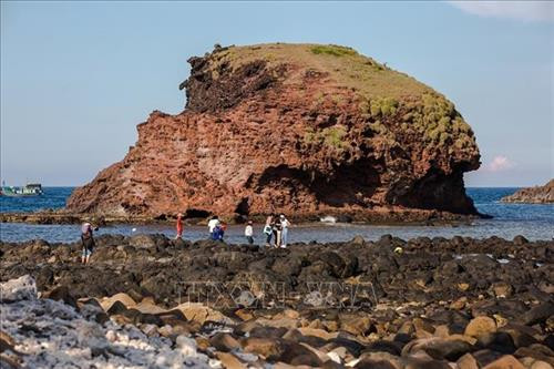 Ngắm san hô biển tuyệt đẹp ở Hòn Yến (Phú Yên) ảnh 1