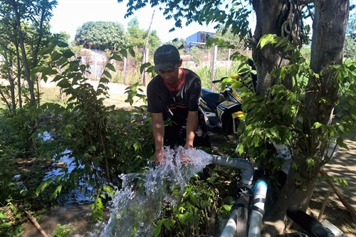 Tình trạng xâm nhập mặn khiến bà con rất vất vả tìm nguồn nước để sản xuất