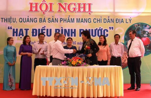 Hoạt động ký kết giao thương chế biến xuất khẩu hạt điều Bình Phước. Ảnh: Dương Chí Tưởng - TTXVN Hoạt động ký kết giao thương chế biến xuất khẩu hạt điều Bình Phước. Ảnh: Dương Chí Tưởng - TTXVN