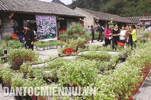 Ghé thăm Phố cổ Đồng Văn, du khách như lạc vào một vùng đất cổ tích, dễ làm say đắm lòng người Ghé thăm Phố cổ Đồng Văn, du khách như lạc vào một vùng đất cổ tích, dễ làm say đắm lòng người