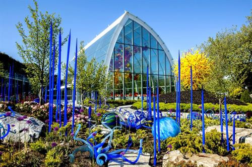 Thăm vườn thủy tinh Chihuly độc nhất vô nhị trên đất Mỹ ảnh 5 Thăm vườn thủy tinh Chihuly độc nhất vô nhị trên đất Mỹ ảnh 5