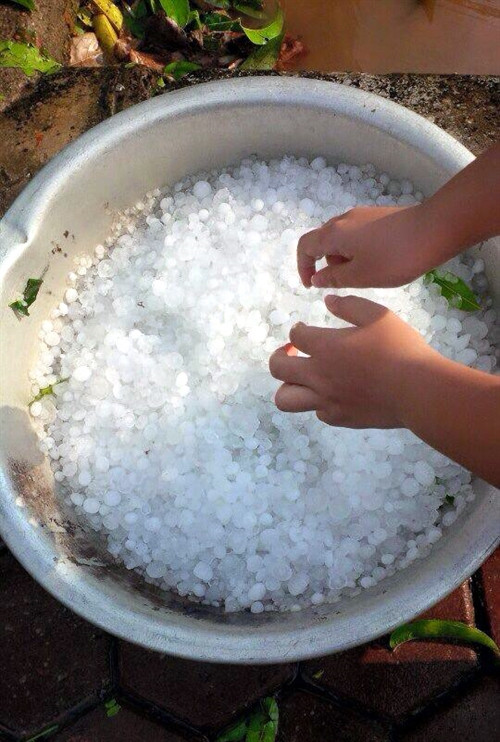 Người dân hứng được cả thau đá sau trận mưa đá ở thị xã Mường Lay. Ảnh: Chu Quốc Hùng- TTXVN Người dân hứng được cả thau đá sau trận mưa đá ở thị xã Mường Lay. Ảnh: Chu Quốc Hùng- TTXVN