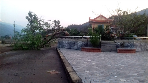 Giông lốc quật đổ cây cối tại phường Sông Đà, thị xã Mường Lay. Ảnh: Chu Quốc Hùng- TTXVN Giông lốc quật đổ cây cối tại phường Sông Đà, thị xã Mường Lay. Ảnh: Chu Quốc Hùng- TTXVN