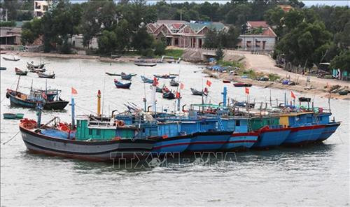 Tỉnh Quảng Trị đã và đang đầu tư nâng cấp, hoàn thiện hai khu neo đậu tránh trú bão ở huyện Triệu Phong và Gio Linh. Ảnh: Nguyên Lý-TTXVN