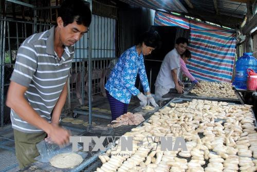 Làng nghề ép chuối khô truyền thống ở xã Trần Hợi ( Cà Mau) góp phần xóa đói giảm nghèo. Ảnh: Huỳnh Thế Anh - TTXVN