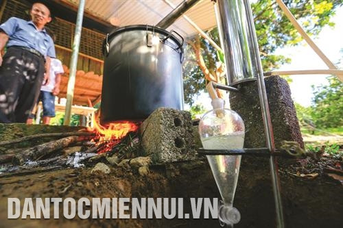 Cây cam đem lại hiệu quả kinh tế cao nên người dân Con Cuông đã tích cực mở rộng diện tích, đẩy mạnh áp dụng công nghệ mới vào sản xuất