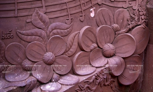 Hoa anh đào Đà Lạt.